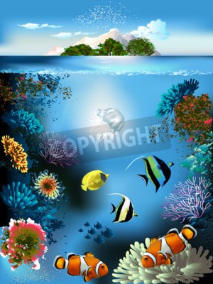 Fototapete Unterwasserleben und Überwasserleben