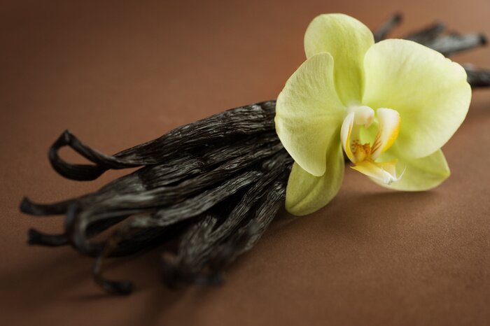 Fototapete Vanillestangen und Blüte