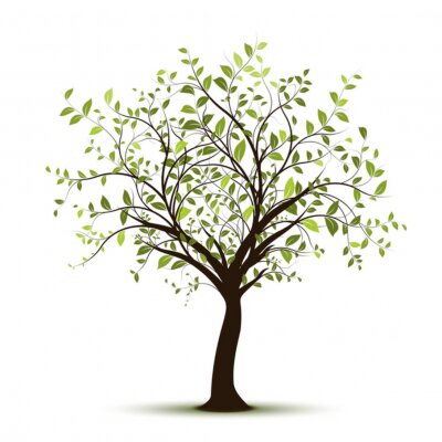 vecteur série, arbre vectoriel fond blanc - grünen Baum auf weißem