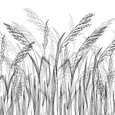 Fototapete Vector Gras-Skizze, Vektor-Illustration mit wilden Kräutern