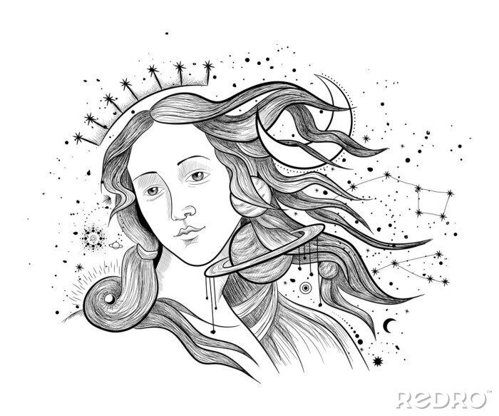 Fototapete Vector illustration set of moon phases. Different stages of moonlight activity in vintage engraving style. Zodiac Signs