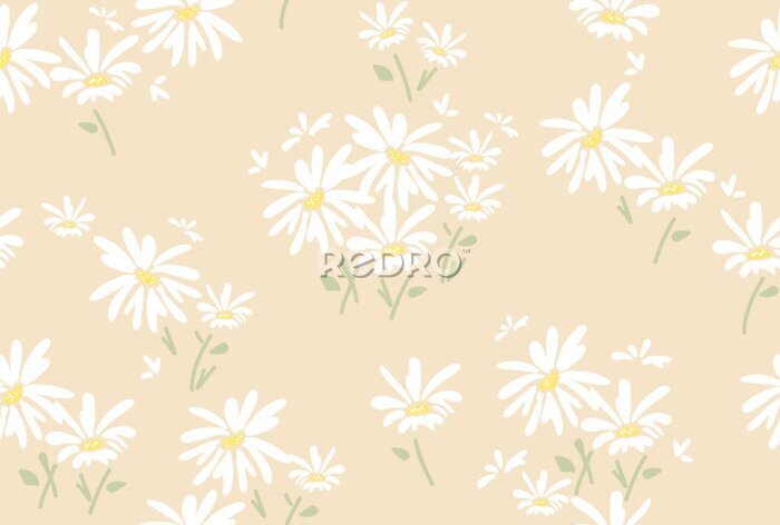 Fototapete vector seamless floral pattern with  daisy flowers