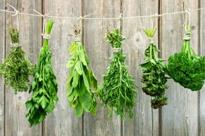 Fototapete Verschiedene Kräuter hängen zum Trocknen an einer Schnur.