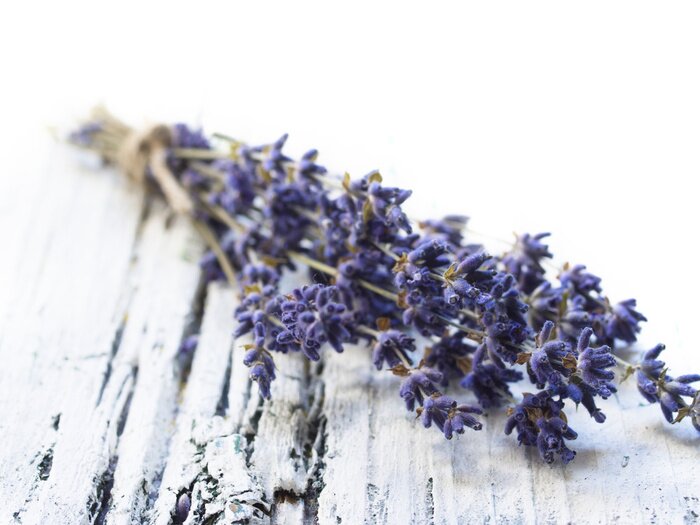 Fototapete Vintage Blumen