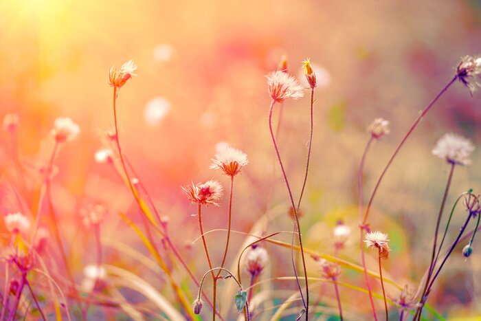 Fototapete Vintage-Hintergrund mit Pflanzen