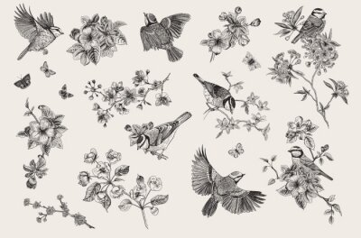 Fototapete Vintage Muster mit Vögeln inmitten von zarten Blumen