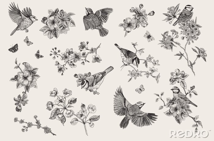 Fototapete Vintage Muster mit Vögeln inmitten von zarten Blumen