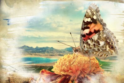 Fototapete Vintage-Schmetterlingsmuster