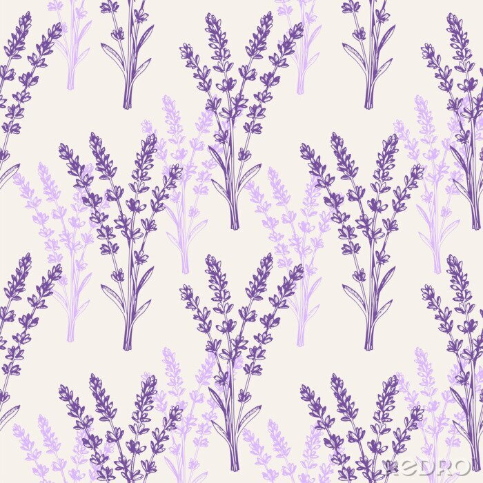 Fototapete Vintage seamless pattern with lavender flowers.