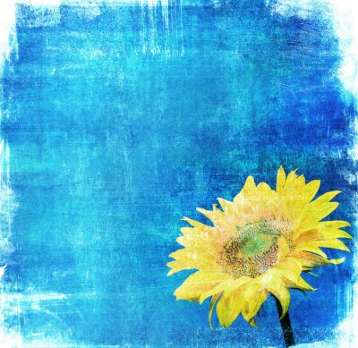 Fototapete Vintage-Sonnenblume auf blauem Hintergrund