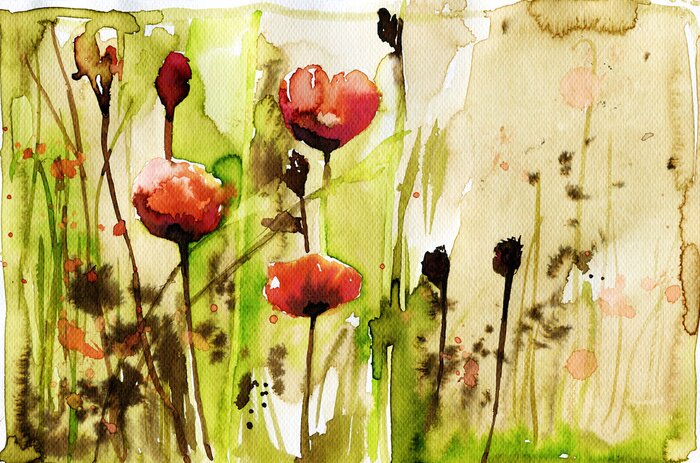 Fototapete Violette Mohnblumen Aquarell