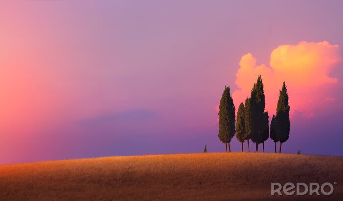 Fototapete Violetter Himmel in der Toskana