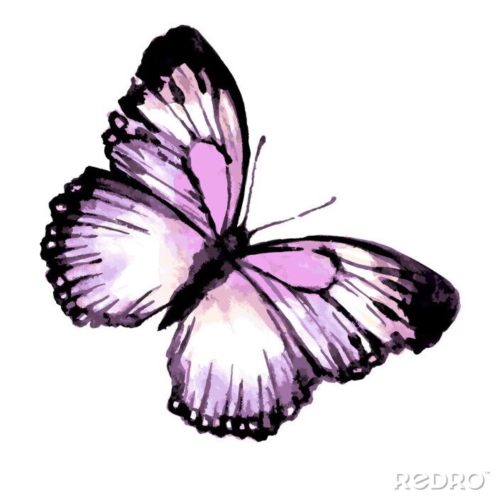 Fototapete Violettes Insekt auf hellem Hintergrund