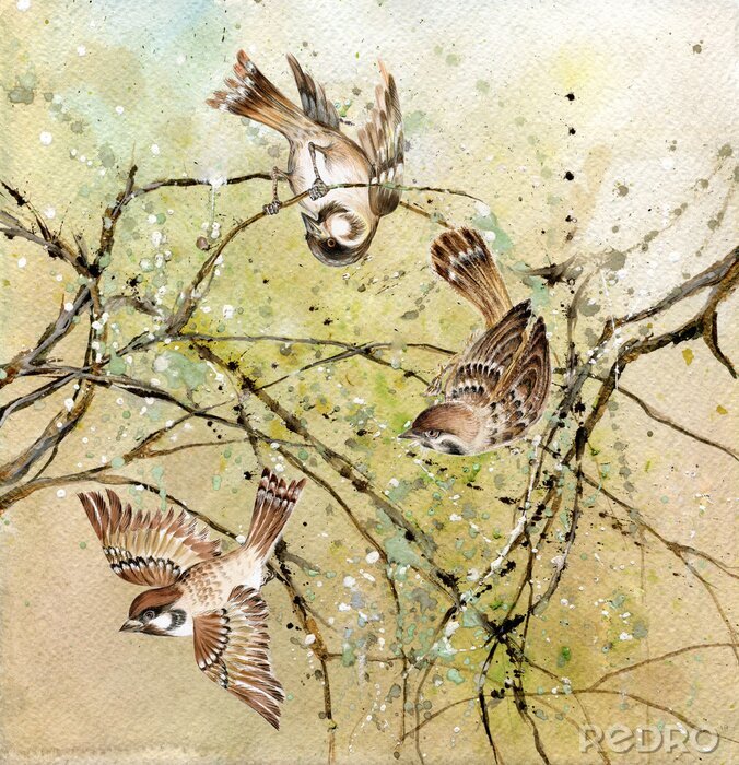 Fototapete Vögel auf Zweigen im malerischen Stil