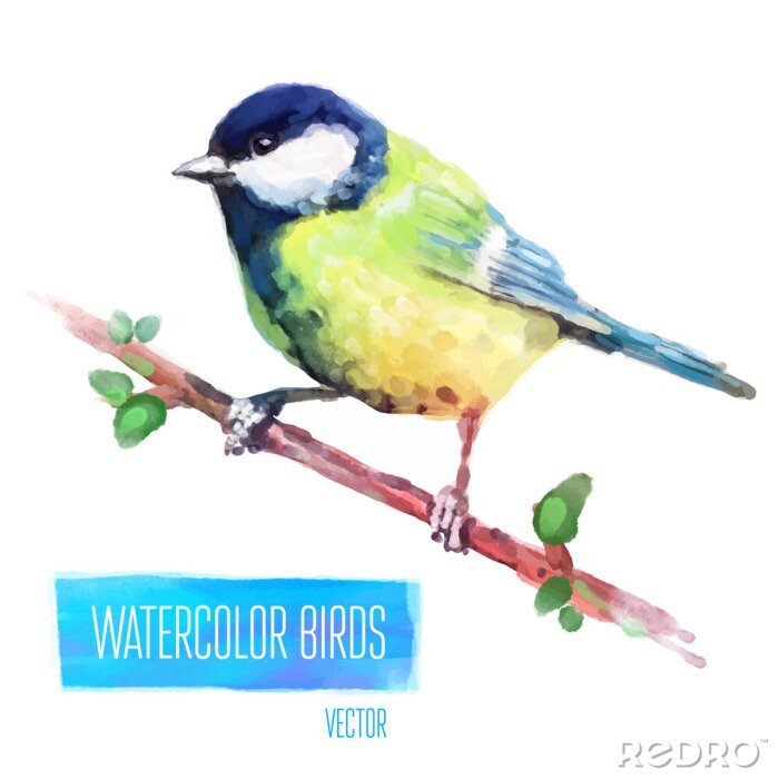 Fototapete Vogel in Aquarell