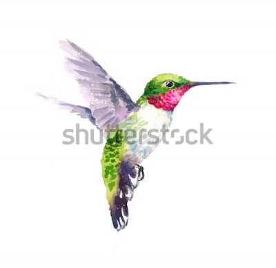 Fototapete Vogel in Bewegung vor einem hellen Hintergrund
