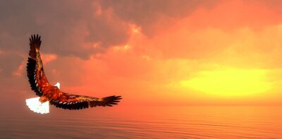Fototapete Vogel in der untergehenden Sonne