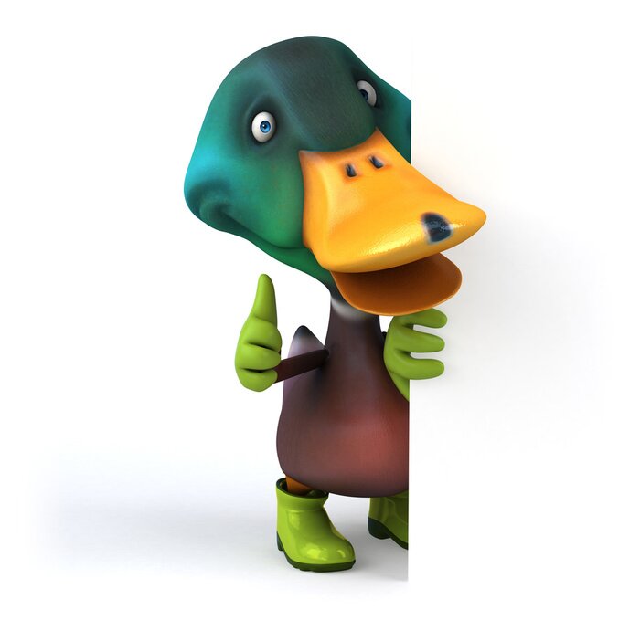 Fototapete Vogel kommt hinter der Mauer heraus