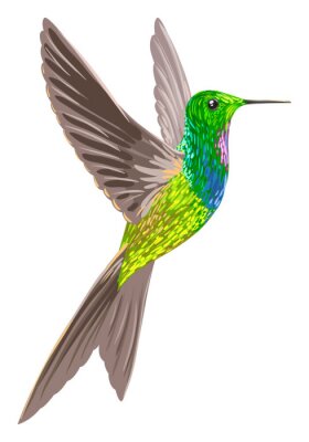 Fototapete Vogel mit Aquarellfarbe gemalt