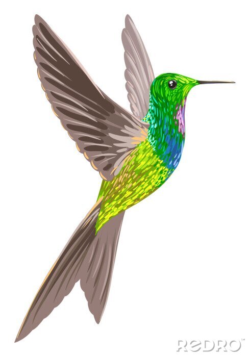 Fototapete Vogel mit Aquarellfarbe gemalt