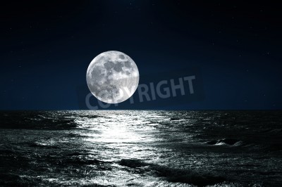 Fototapete Vollmond über Wasser