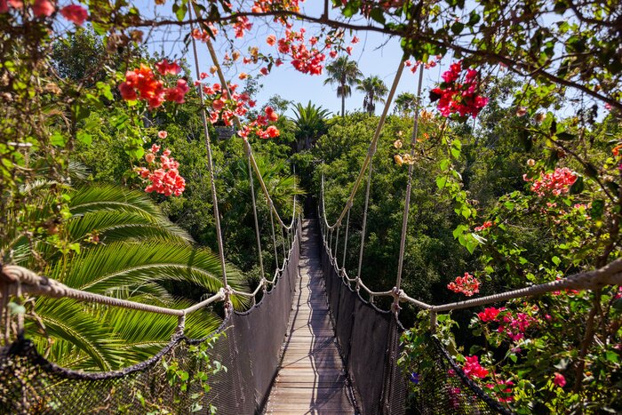 Fototapete Von Blumen umgebene Hängebrücke