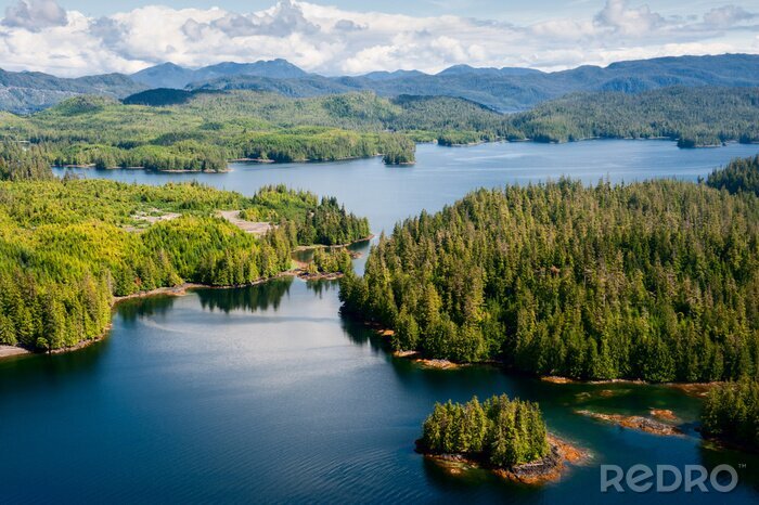 Fototapete Wälder und Seen vor dem Hintergrund der Berge