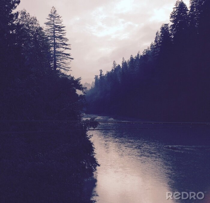 Fototapete Wald 3d und Fluss