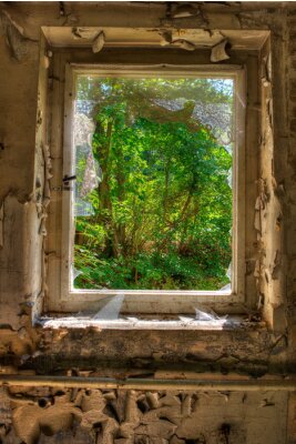 Fototapete Wald durch ein altes Fenster