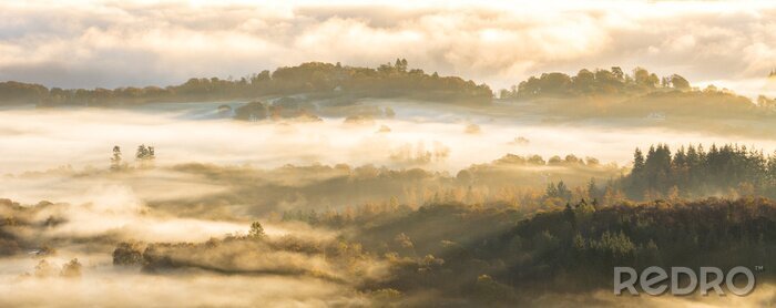 Fototapete Wald hinter nebel und wolken