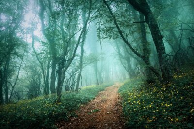 Fototapete Wald im grünlichen nebel