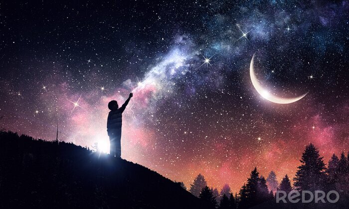 Fototapete Wald mit Sternen am Nachthimmel