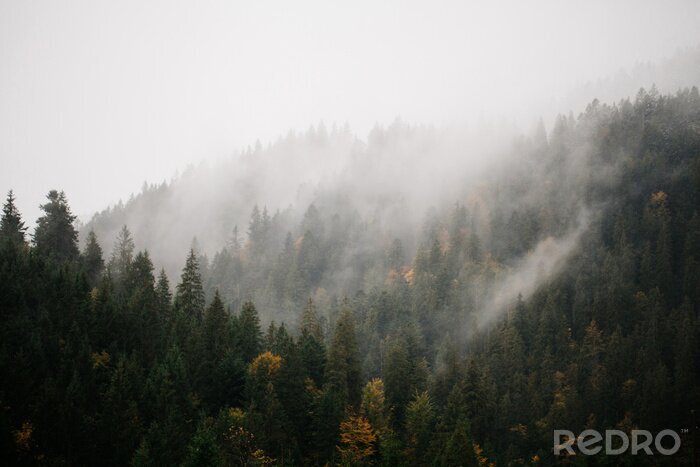 Fototapete Wald und Berge im Nebel