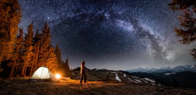 Waldcamp mit Sternen im Hintergrund