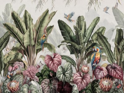 Fototapete Wallpaper Prints - Tropical Banana Palms In Landscape With Macaws And Butterflies Painted Vintage Style With white Background