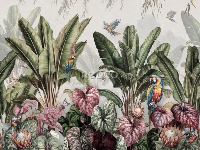 Fototapete Wallpaper Prints - Tropical Banana Palms In Landscape With Macaws And Butterflies Painted Vintage Style With white Background