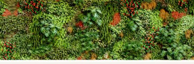 Fototapete Wand aus Pflanzen