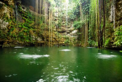 Fototapete Wasser im Dschungel