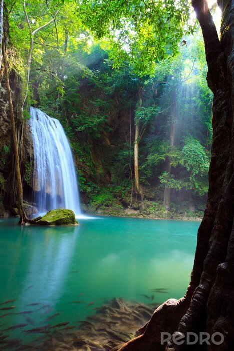 Fototapete Wasserfall Dschungel 3D