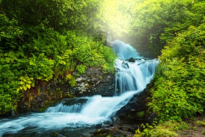 Fototapete Wasserfall Dschungel und Natur
