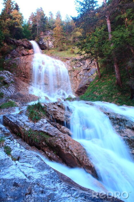 Fototapete Wasserfall im Nadelwald