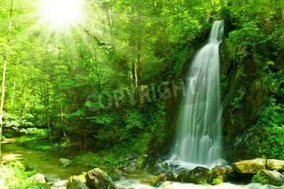 Fototapete Wasserfall im tropischen Dschungel