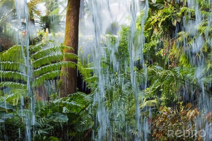 Fototapete Wasserfall im tropischen Wald