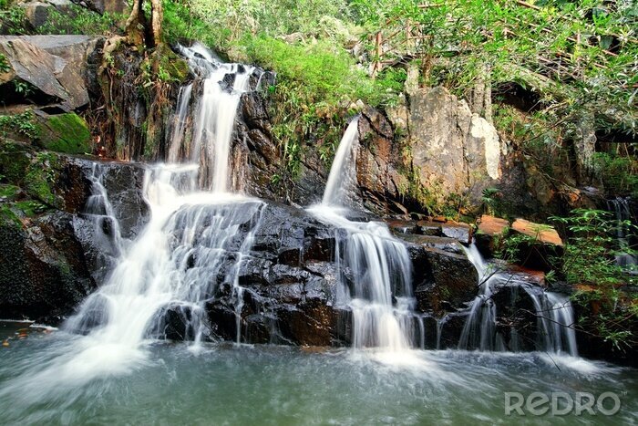 Fototapete Wasserfall im Wald