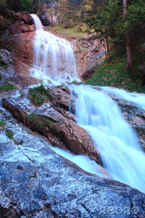 Fototapete Wasserfall im Wald und Bäume