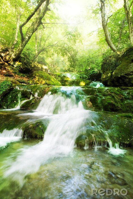 Fototapete Wasserfall in Bewegung und Grün