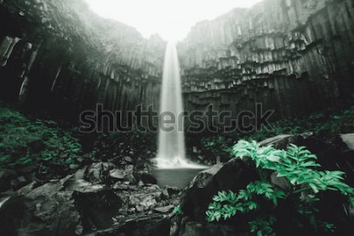 Fototapete Wasserfall in der Höhle und grüne Pflanzen