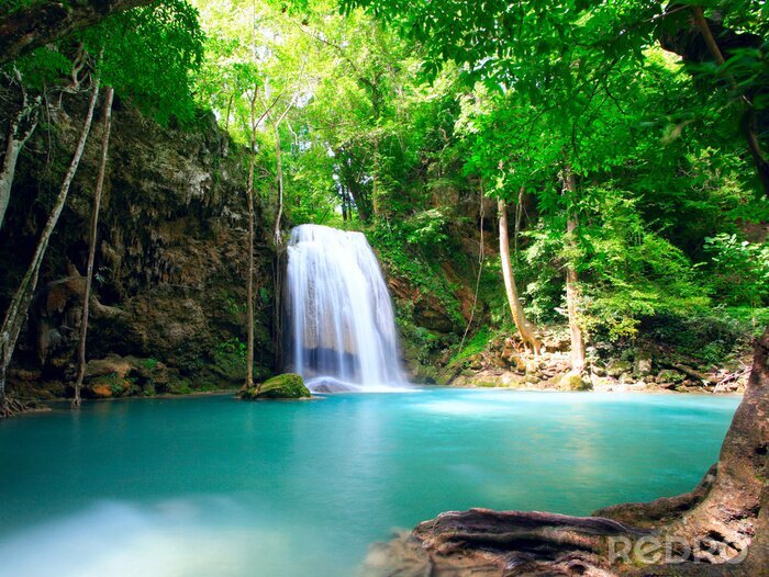 Fototapete Wasserfall in grüner Wildnis