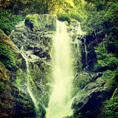 Fototapete Wasserfall in Grünton