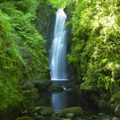 Fototapete Wasserfall inmitten der Bäume